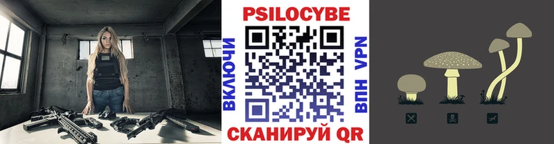 где продают   Новотитаровская  Псилоцибиновые грибы Cubensis 